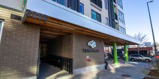 Tennyson Place Gallery 19