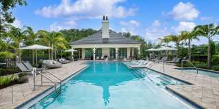 Town Treeline Gallery 18