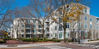 7 Cameron Gallery 8