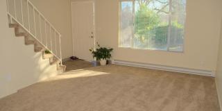 Lynn Oaks Gallery 15