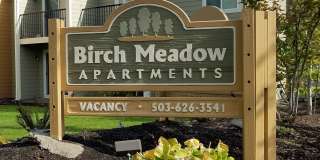 Birch Meadow Gallery 1