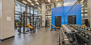 10X Las Olas Walk 10X Las Olas Walk Gallery 13