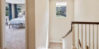 4944 Princess Gallery 18