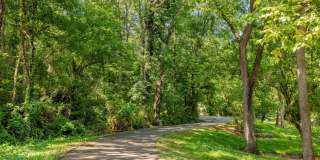 Forest Village on the Greenway Gallery 32