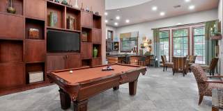 Estates at Vista Ridge Gallery 22