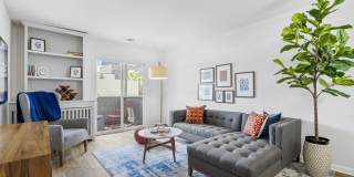 Arlington Heights Gallery 13