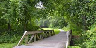 Harpers Forest Gallery 15