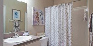 Promenade At Tampa Palms Gallery 8