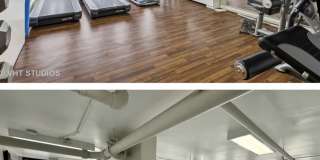 100 East Walton Street Gallery 11
