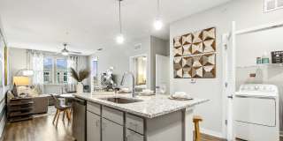 Westshore Palm Bay Gallery 13