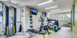 Alpine Flats Gallery 13