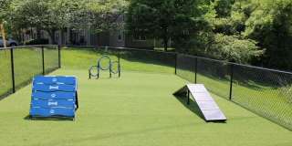 Stonehaven Gallery 29