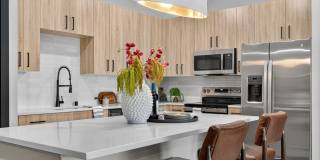 Elysium Reno Gallery 8