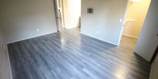 10332 Caminito Aralia Gallery 14