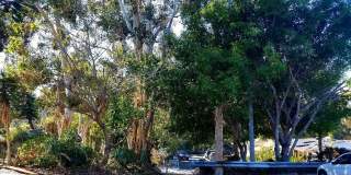 2853 Hawthorn Street Gallery 11