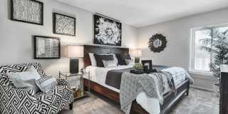 Tall Trees Gallery 3