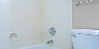 13702 Seahorse Gallery 24