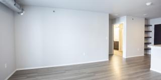 The Pitch Gallery 10