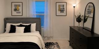342 Pink Footed Pass Gallery 1