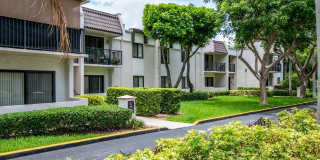 Legacy Nob Hill Gallery 14