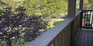 3107 Browntail Way Gallery 25