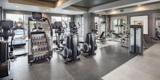 Beach & Ocean Gallery 19