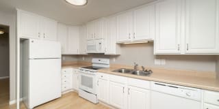 South Meadows Gallery 2