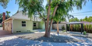 1091 Palm Ter Gallery 26