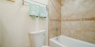 15 Camphor S Gallery 25