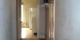 Charming 1 bedroom apartment close to MSU Gallery 7