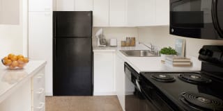 Regents Park Gallery 34