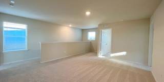 6234 FIELDRUN Gallery 17