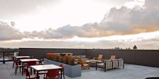Alta Norra Gallery 7