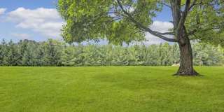 Sherbrook Apartments Gallery 11