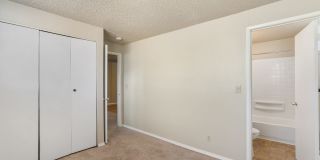 Dolphin Apartments Gallery 21