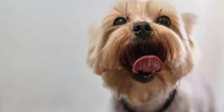 Beachway Links Gallery 31