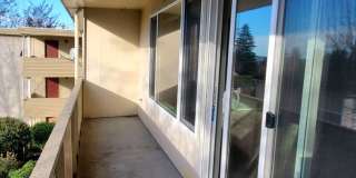 Cortina Apartments Gallery 13