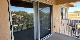 221 SW Palm Drive Gallery 39