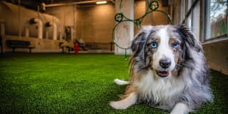 Canal 1535 Gallery 22