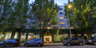 Noda Gallery 29