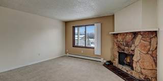 Conifer Grove Gallery 8