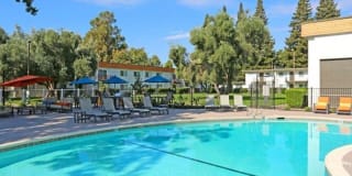 The Davenport Apartment Homes Gallery 4
