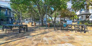 St. Martin Gallery 20