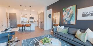 Alleia Watters Creek Gallery 28