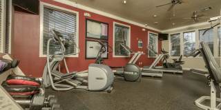 The Broadwater Gallery 18