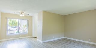 Parthenia Twin Gallery 7