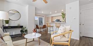 Amazon Falls Gallery 18