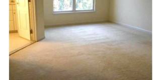 21505 TROWBRIDGE SQ Gallery 6