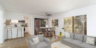 Bay Laurel Gallery 1