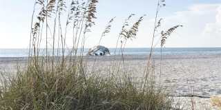 19506 GULF Boulevard Gallery 38